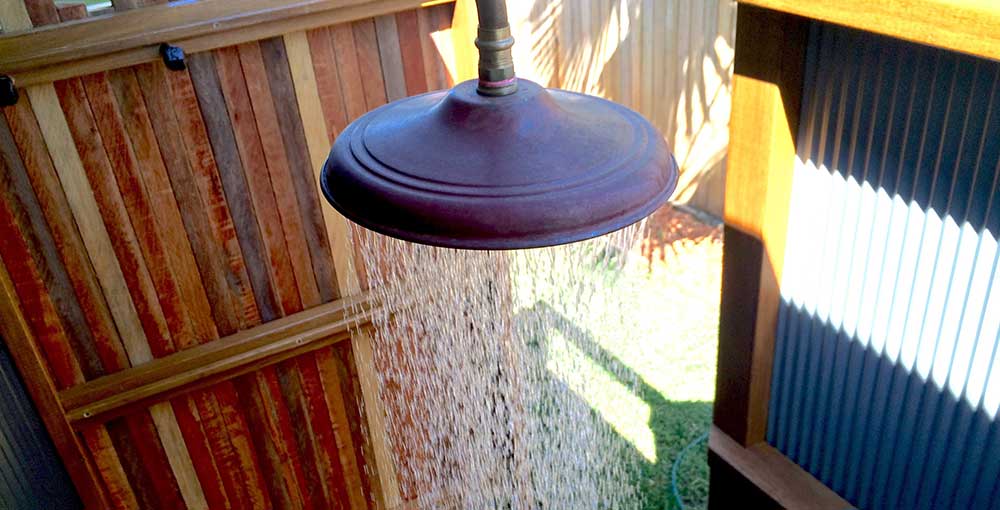 Astol shower rose